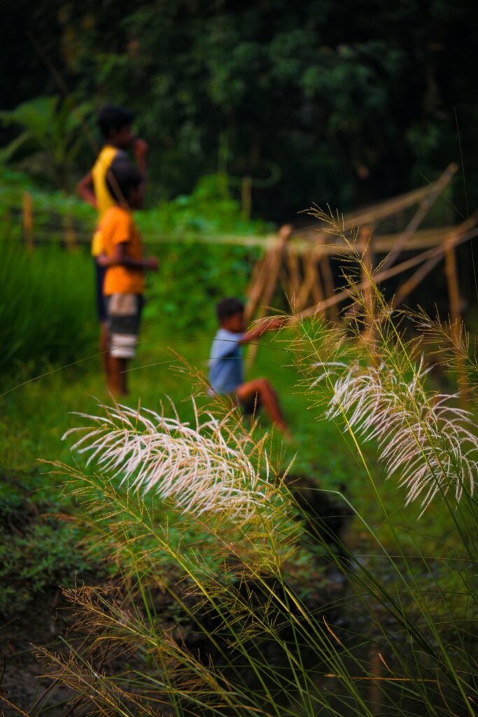 sanjoy saha lpgemlxoave unsplash